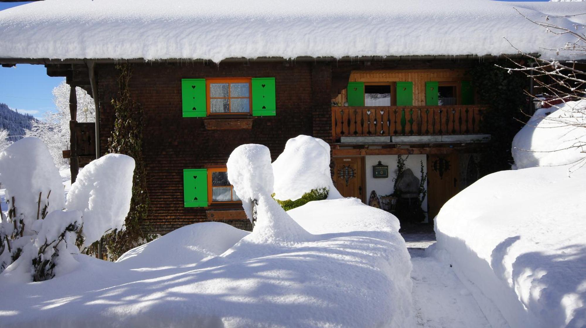 Apartamento Haus Aelpele Klösterle Exterior foto